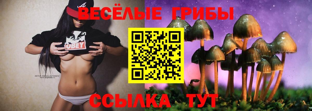 Псилоцибиновые грибы MAGIC MUSHROOMS  Вход с VPN  Сафоново 